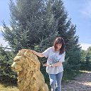 ���� �����, ����������, 55 ��� - ��������� 4 ������ 2026 � ������ ���� ����������
