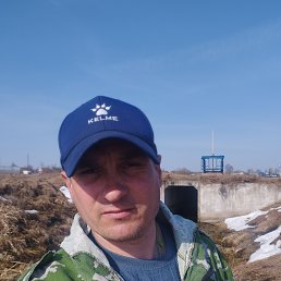 ���� ����, �����, 44 ���� - ��������� 1 ������ 2026