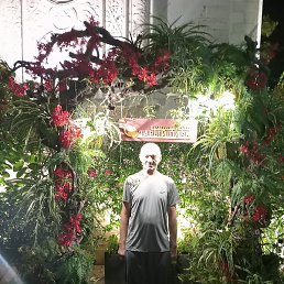 ����, ���������, 63 ����