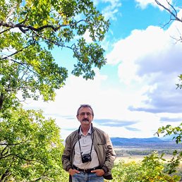 ���� ������, �����������, 65 ��� - ��������� 13 ����� 2026