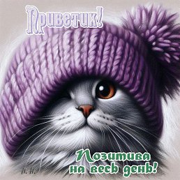 ���� �������, ������, 55 ��� - ��������� 3 ������ 2026