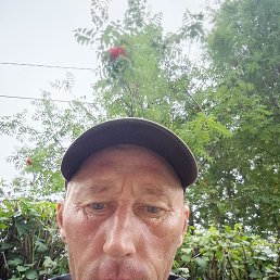 , 38, 