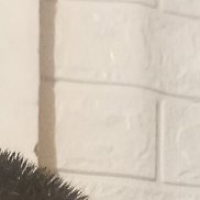 ����� �����, 30 ���, ������