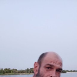 , 44, --