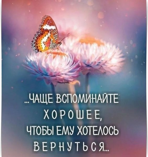  - 25  2024  10:50