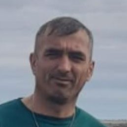 ����, ������, 41 ���