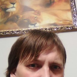 �����, 41 ���, �����