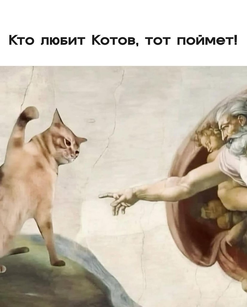 ����