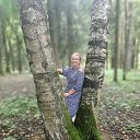���� ��������, �������, 56 ��� - ��������� 30 ������ 2024 � ������ ���� ����������