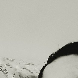 ��������, ������, 27 ���