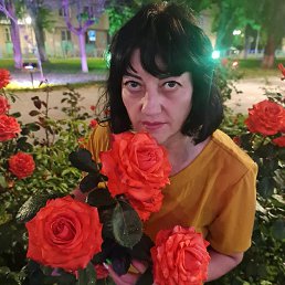 , 57, 