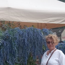 , 55,  