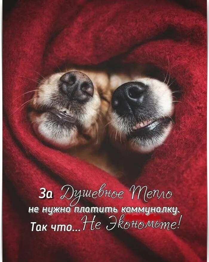 ~~~~~~~~