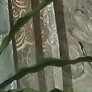 ����, 54 ����, �����