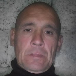 ������, �����, 49 ���