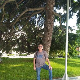 ������� ���������, ������, 57 ���