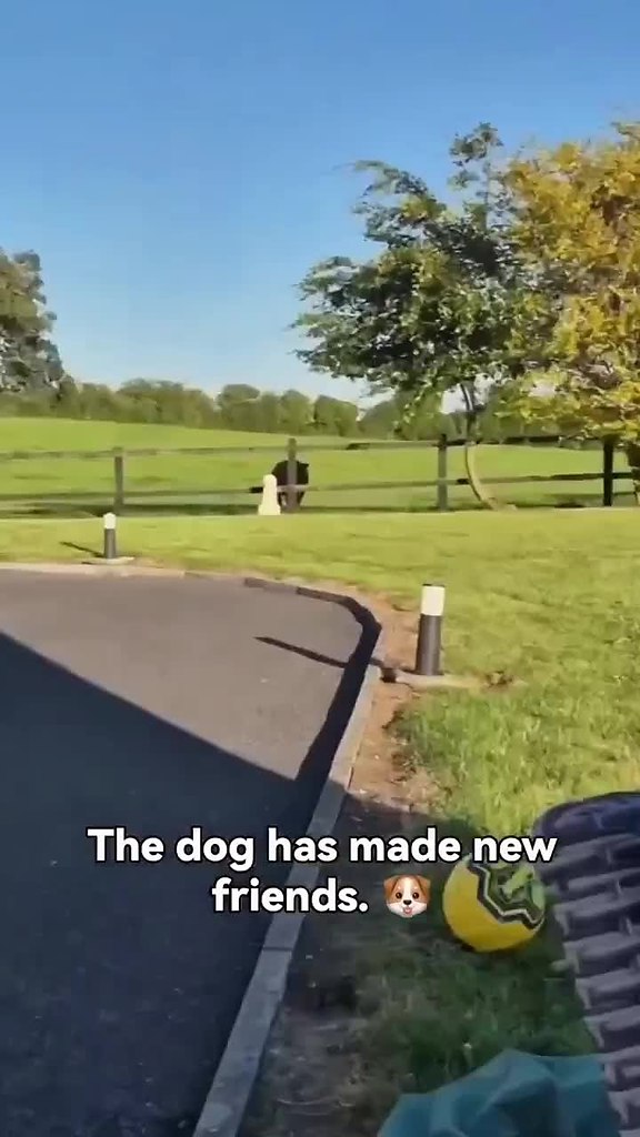 ������ ������ ��� � �����, ��������! - 2