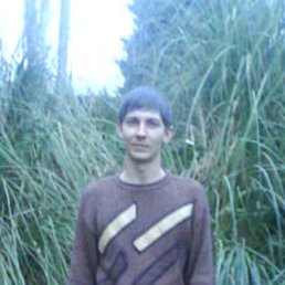 ���������, ���������, 41 ���