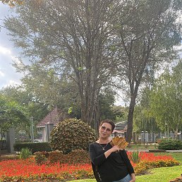 ���� ��������, ������, 66 ��� - ��������� 5 ������ 2024