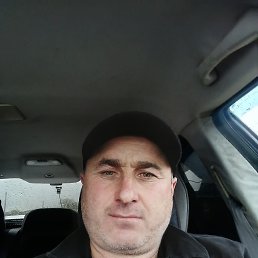 , 41, 