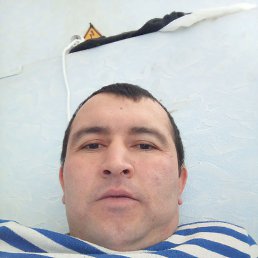 , 34, 