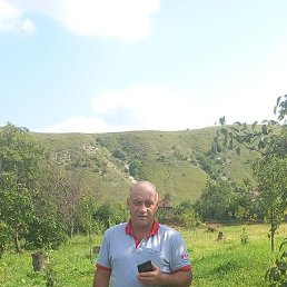 �����, 50 ���, ������