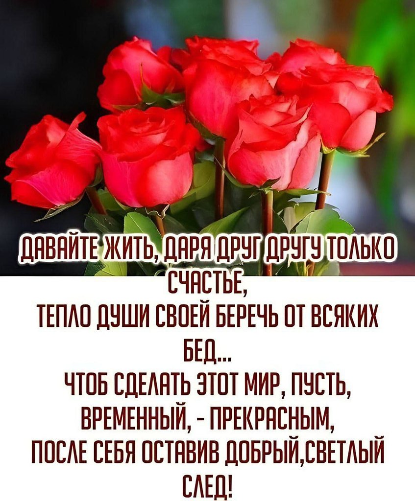   ,    . - 24  2025  15:07