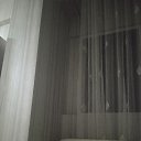���� �����, ���������, 38 ��� - ��������� 21 ������� 2024 � ������ ���� ����������