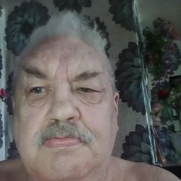, 63, 