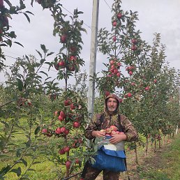 ���� �����, ���������, 59 ��� - ��������� 3 ������� 2023