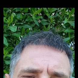 ������, 47 ���, �����