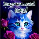���� �������, ������, 45 ��� - ��������� 22 ����� 2026 � ������ ������ ��������