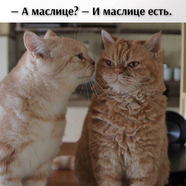 ��� ���� � ����� �� �� - 19 ������ 2026 � 21:42 - 3