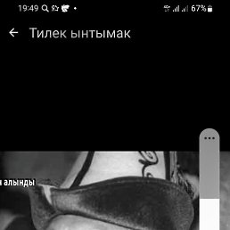 ����, ��������, 38 ���