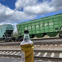 ���� Millerred, �������, 35 ��� - ��������� 8 ��� 2026 � ������ ���� ����������