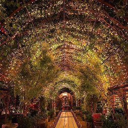 �����-���������, ������, 36 ���