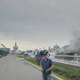 , 33, 