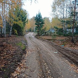 ���� ����, �����, 35 ��� - ��������� 23 ������� 2023