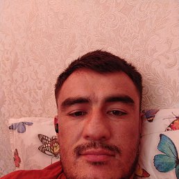 , 33, 