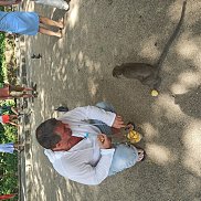 ���������, 55 ���, ������