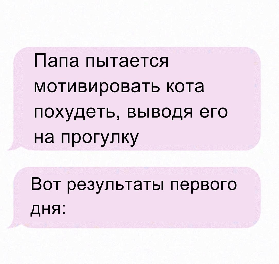   -  ,  -  - 20  2025  22:01