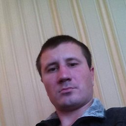 ����, 41 ���, �����