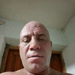 �����, 40 ���, �����