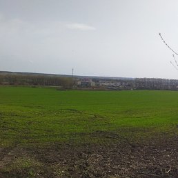 �������, �������, 20 ���