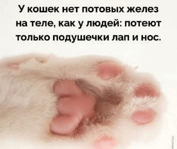 :)