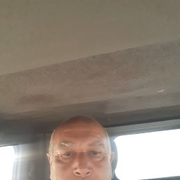 , 53, 