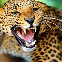 ���� ����, ������, 25 ��� - ��������� 3 ������� 2025 � ������ ���� ����������