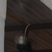 �����, 53 ����, ������