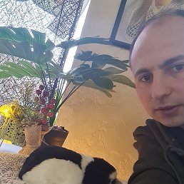 , 37, 