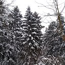 ���� ������, ������ - ��������� 16 ������ 2026 � ������ ���� ����������